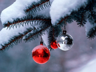 Ornaments hanging pine tree snow - a pine tree free wallpaper