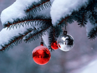 Ornaments hanging tree branch snow 2 - the branch free wallpaper
