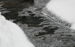 Stream snow forest ice flakes - ice and snow free wallpaper