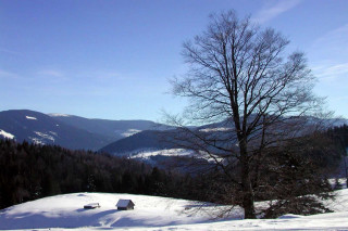 Snowy landscape tree mountains blue - a snowy landscape free wallpaper