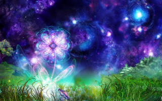 Flower field sky stars painting - cosmic free wallpaper