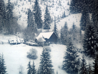 Cabin snowy forest trees fence 5 - alen divi free wallpaper