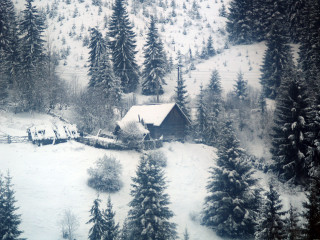 Cabin snowy forest trees fence 4 - alen divi free wallpaper