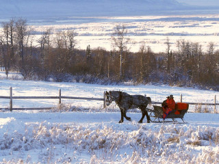 Horse drawn carriage snow covered - seat free wallpaper