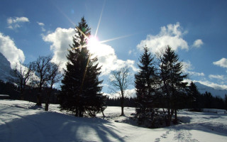 Sunny snow field trees blue 2 - barbizon school free wallpaper