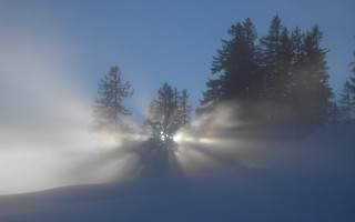 Foggy night light trees snow 8 - eric deschamps free wallpaper