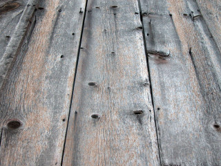 Wooden surface holes bird folk - hole free wallpaper