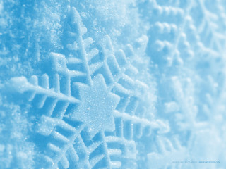 Snowflake pattern glass surface blue 5 - ambient free wallpaper