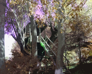 Tree staircase woods leaves painting 5 - a staircase free wallpaper