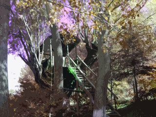 Tree staircase woods leaves painting 3 - a staircase free wallpaper