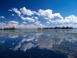 Lake clouds trees water sky - the sky and trees free wallpaper