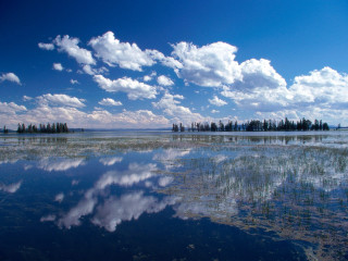 Lake clouds trees water sky 2 - free sky wallpaper for desktop