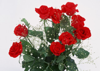 Vase red roses table white 3 - red rose free wallpaper