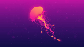Jellyfish floating water bubbles around - a jellyfish free wallpaper