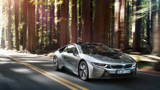 Silver car driving road forest 10 - a bright sun free wallpaper