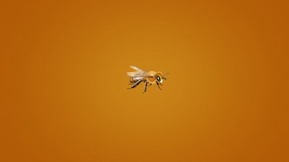 Bees flying yellow background black - edward ruscha free wallpaper