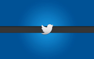 Twitter logo blue background black - a white bird free wallpaper