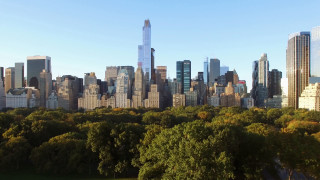 City skyline tall buildings trees - tall building and trees free wallpaper