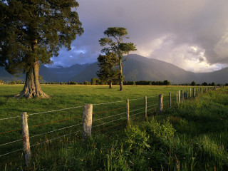 Fence field tree mountains clouds 3 - a tree and mountains free wallpaper