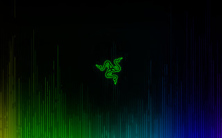 Lizard colorful background light lines - a green lizard free wallpaper