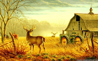 Deer tractor field barn tree 2 - great composition free wallpaper