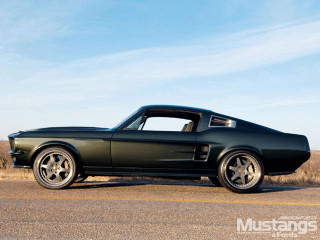 Black mustang side road grass - dry grass free wallpaper