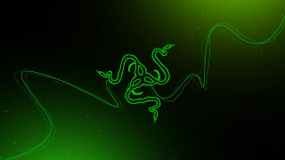 Green snake black background green 2 - a green snake free wallpaper