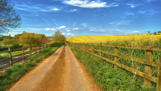Dirt road fence flowers blue - synthetism free wallpaper