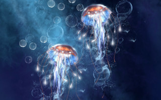 Jellyfish floating water bubbles blue - jellyfish free wallpaper