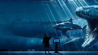 Man shark museum exhibit computer - weta digital free wallpaper for desktop