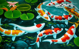 Pond koi fish lily pads - oil painting free wallpaper