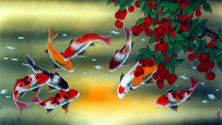 Fish swimming pond red berries - chen chun free wallpaper