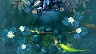 Fish frog pond plants flowers - lostfish free wallpaper for desktop