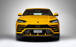 Yellow lambsuv front view menacing - verdadism free wallpaper