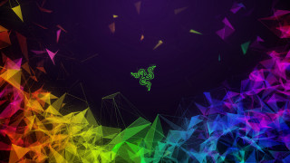 Colorful lizard rainbow background triangles - a lizard free wallpaper for desktop