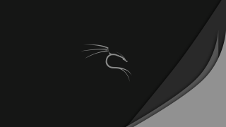 Cat black white photo stripe - objective abstraction free wallpaper