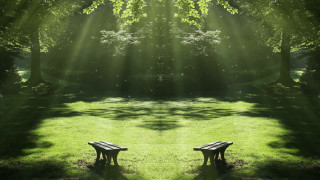 Holographic park bench nature starry - caustic free wallpaper