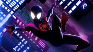 Spider man suit flying sword - a spider free wallpaper