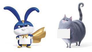 Cat bunny holding sign together - same free wallpaper