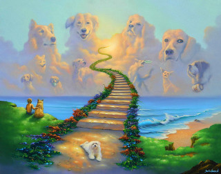 Stairway dogs beach sky clouds - a group of dogs free wallpaper