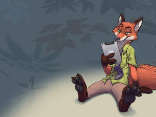 Cartoon fox sitting tablet computer - a tablet computer free wallpaper