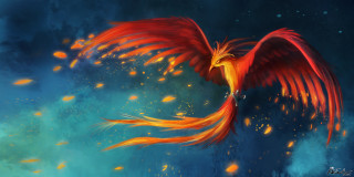 Red yellow bird flying blue - cyril rolando free wallpaper