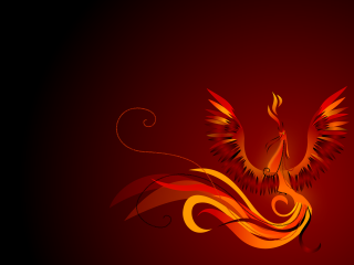 Bird long tail flying red - a bird free wallpaper