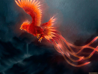 Red bird flying long tail - fantasy concept art free wallpaper