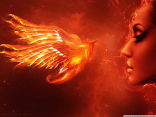 Woman bird fire hair shoulder - her hair free wallpaper for desktop