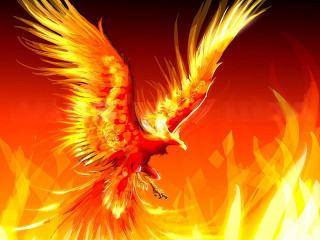 Yellow wings bird flying fire - yellow wing free wallpaper
