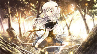 Woman forest sword light shining - a woman in a forest free wallpaper