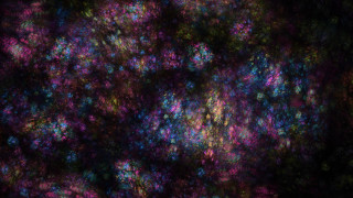 Colorful flowers night sky dark - particle free wallpaper