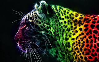 Colorful leopard black background rainbow 3 - psychedelic free wallpaper for desktop