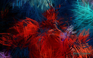 Colorful background feathers red blue - feather free wallpaper